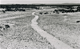 South Africa Wits Art Museum Announces Its Opening In Braamfontein Area On Artmap Tv